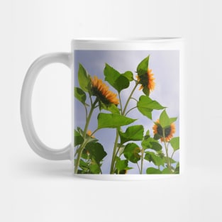 Sunflowers in the Field Mug